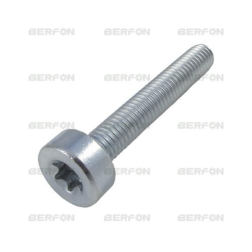 PARAFUSO TAMPAS (DIVERSOS) STIHL (TORX: M5x30mm)